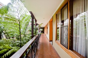 View from room