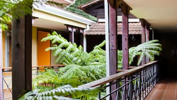 A covered outdoor area with a wooden railing, large green ferns, and a building with a tiled roof.