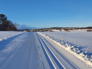 Skifahren