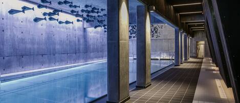 A modern indoor swimming pool with a concrete wall and wooden benches.
