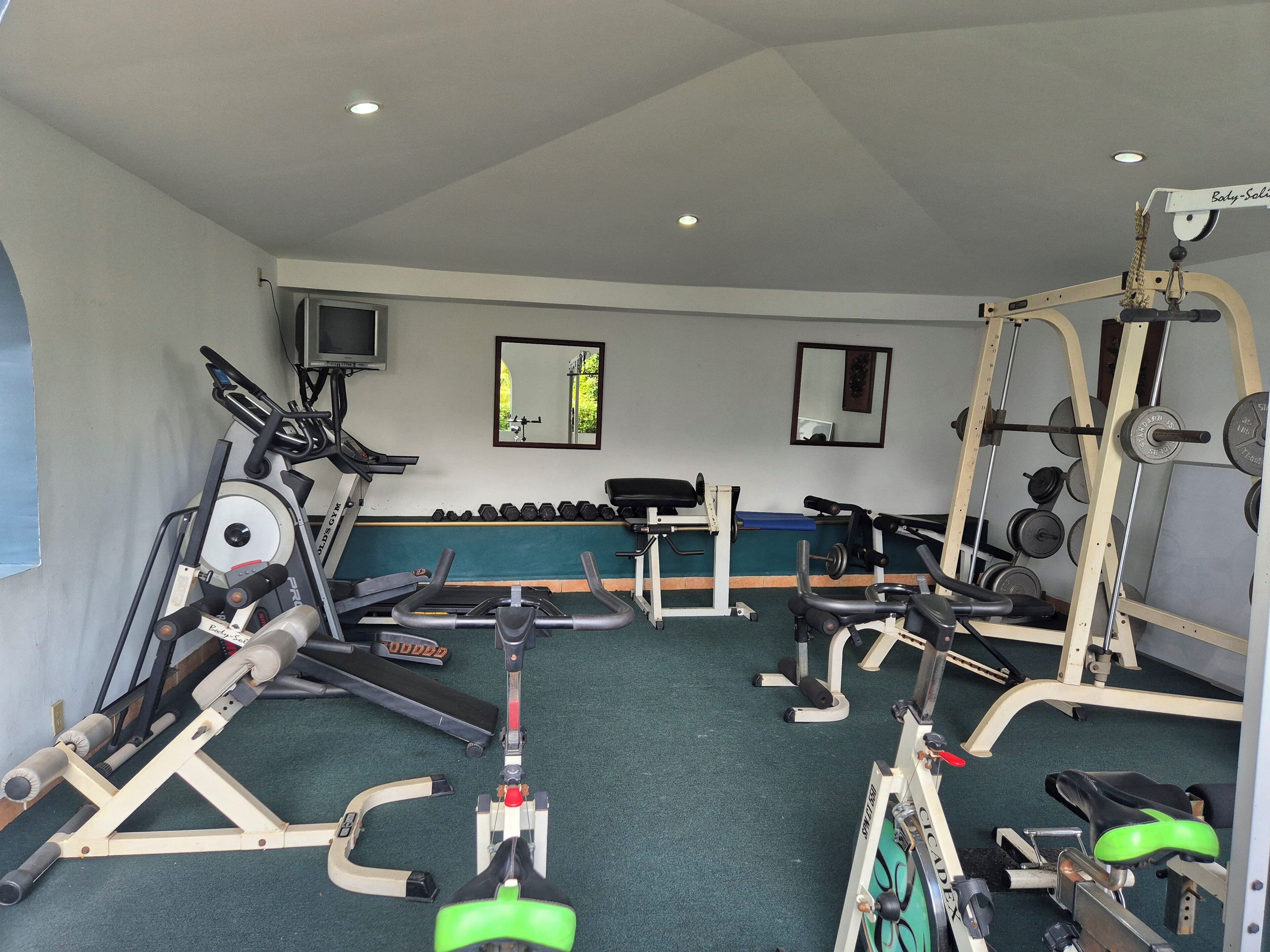 Une salle de sport équipée de tapis de course, d’appareils de musculation et de poids libres.