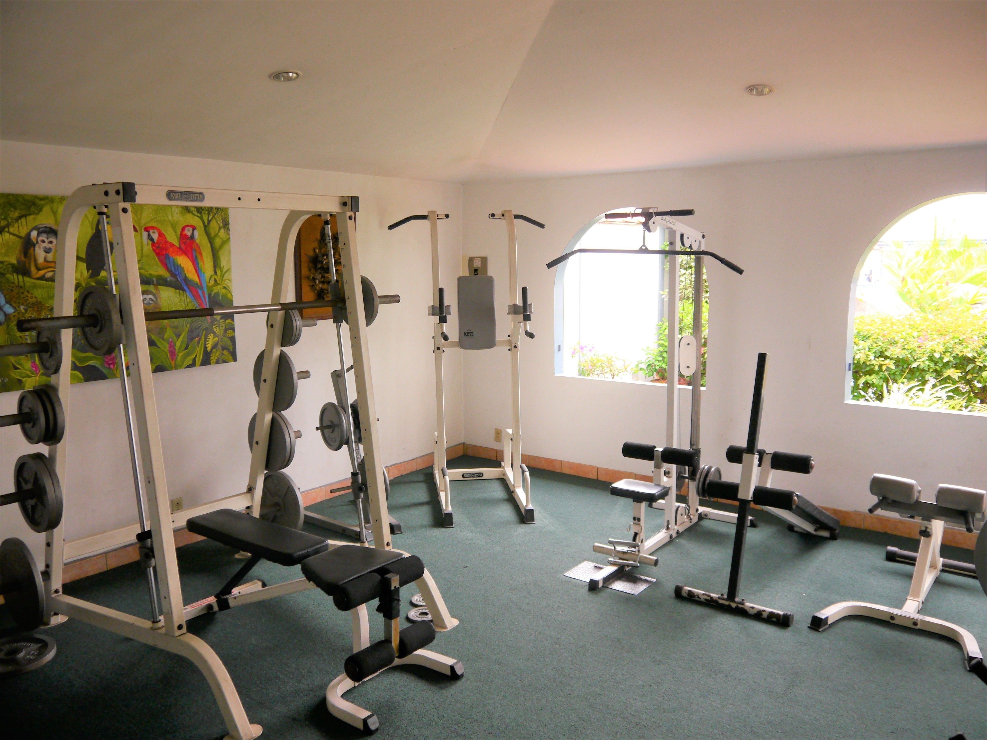 A gym with various exercise equipment, including a bench press, squat rack, and weight benches.