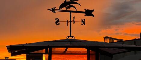 A weather vane with a dolphin silhouette on a rooftop.