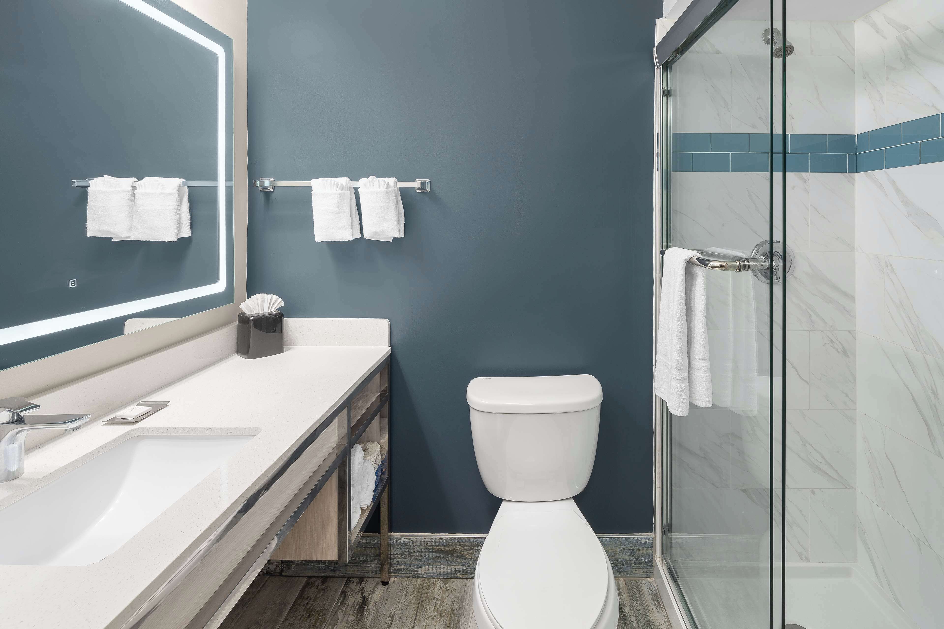 Bathroom shower