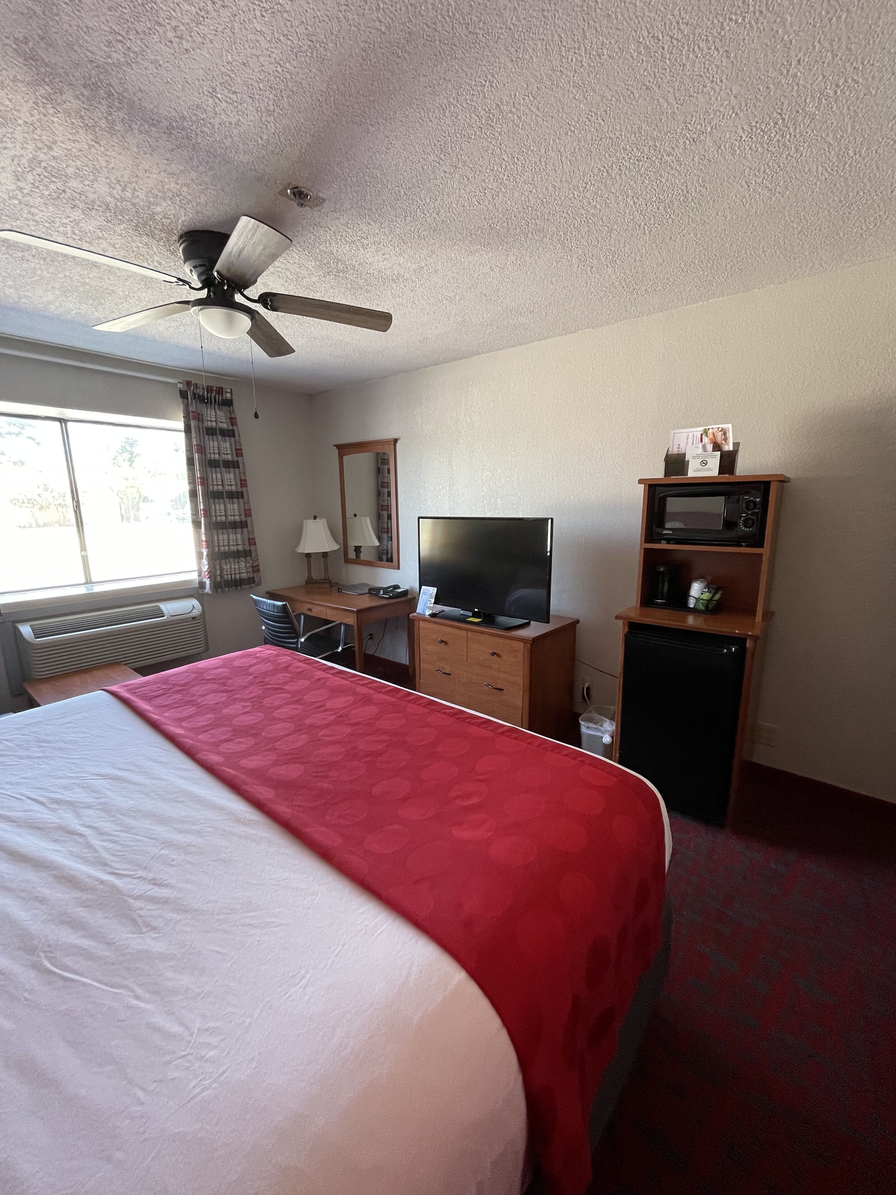 A hotel room with a bed, a desk with a computer, a television, a microwave, and a ceiling fan.