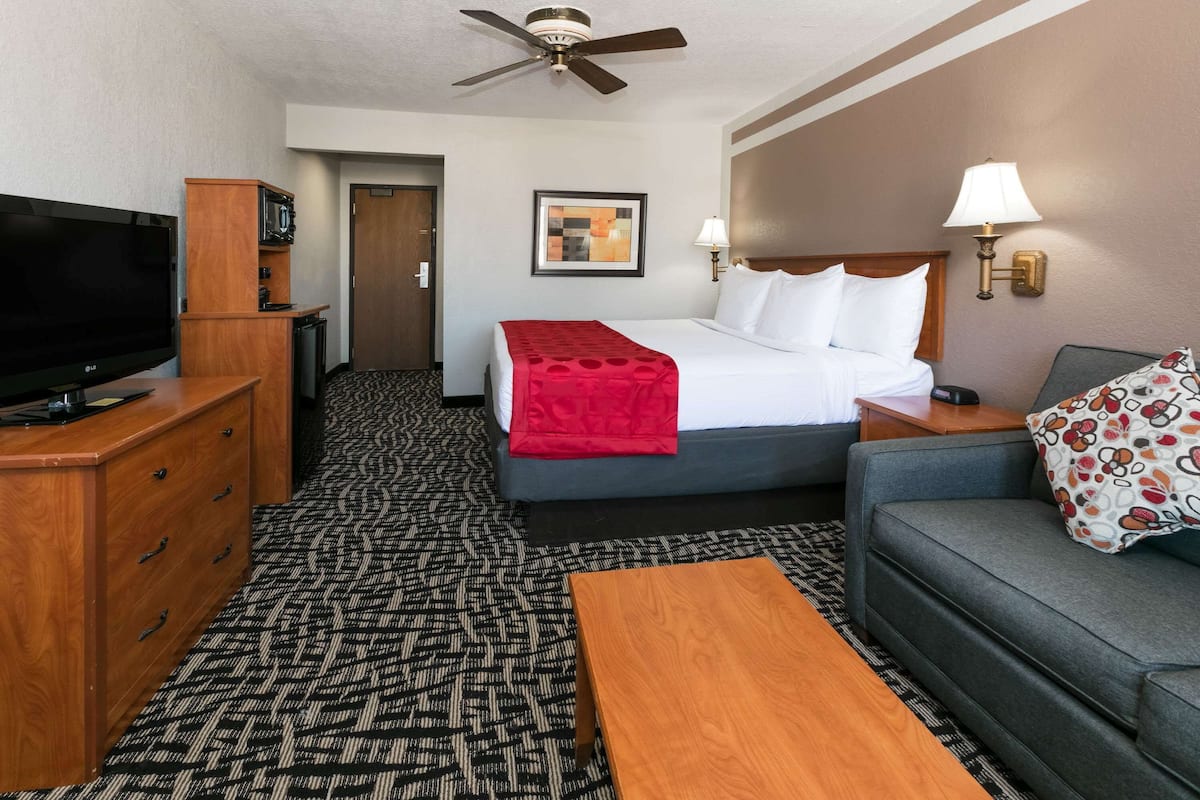 A hotel room with a bed, a TV, a desk, a sofa, and a ceiling fan.
