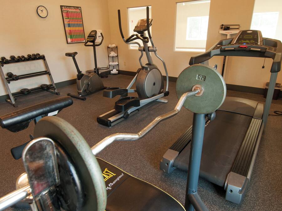 A gym with various exercise equipment including treadmills, stationary bikes, and free weights.