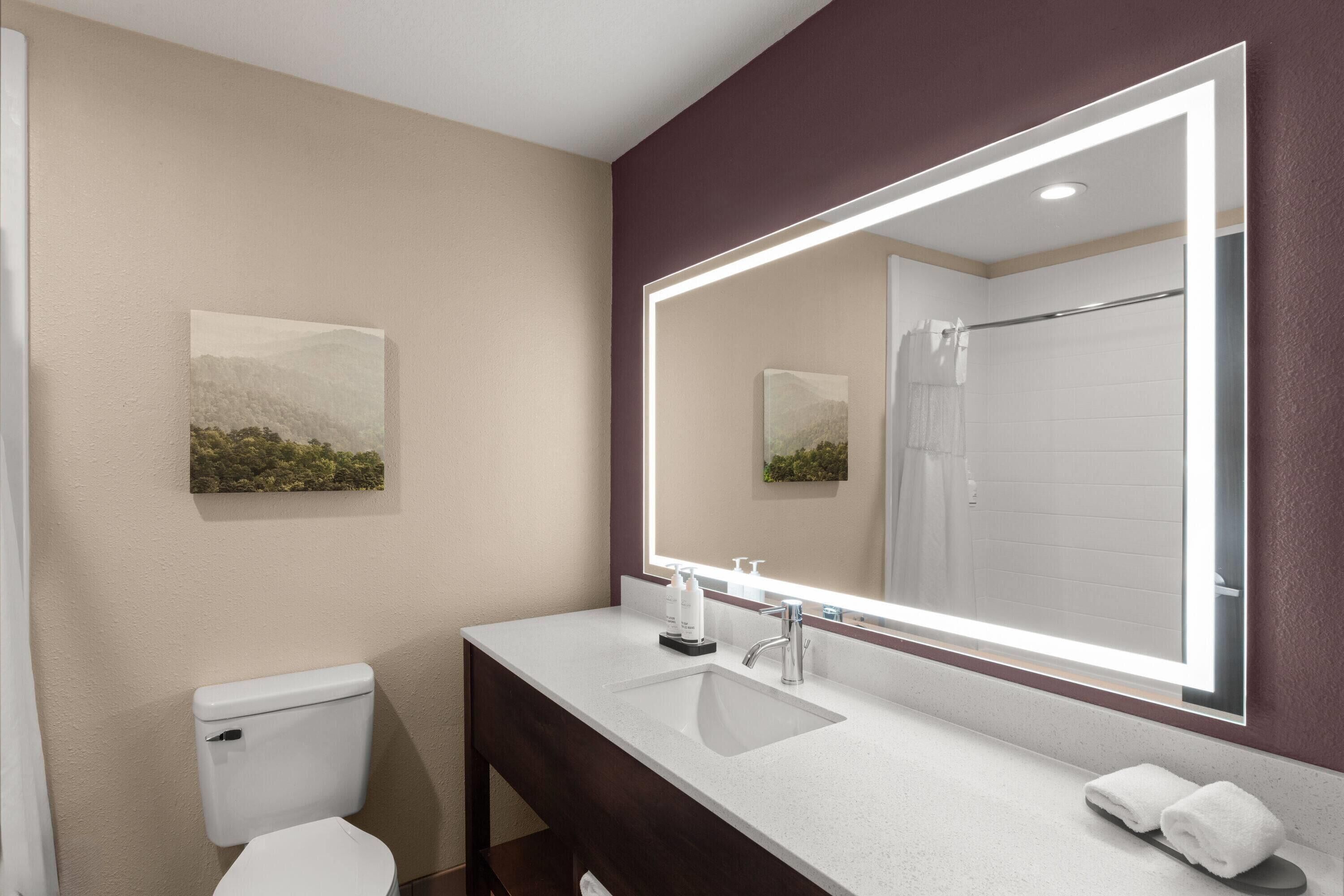 A bathroom with a white sink, a large mirror, a toilet, and a shower.