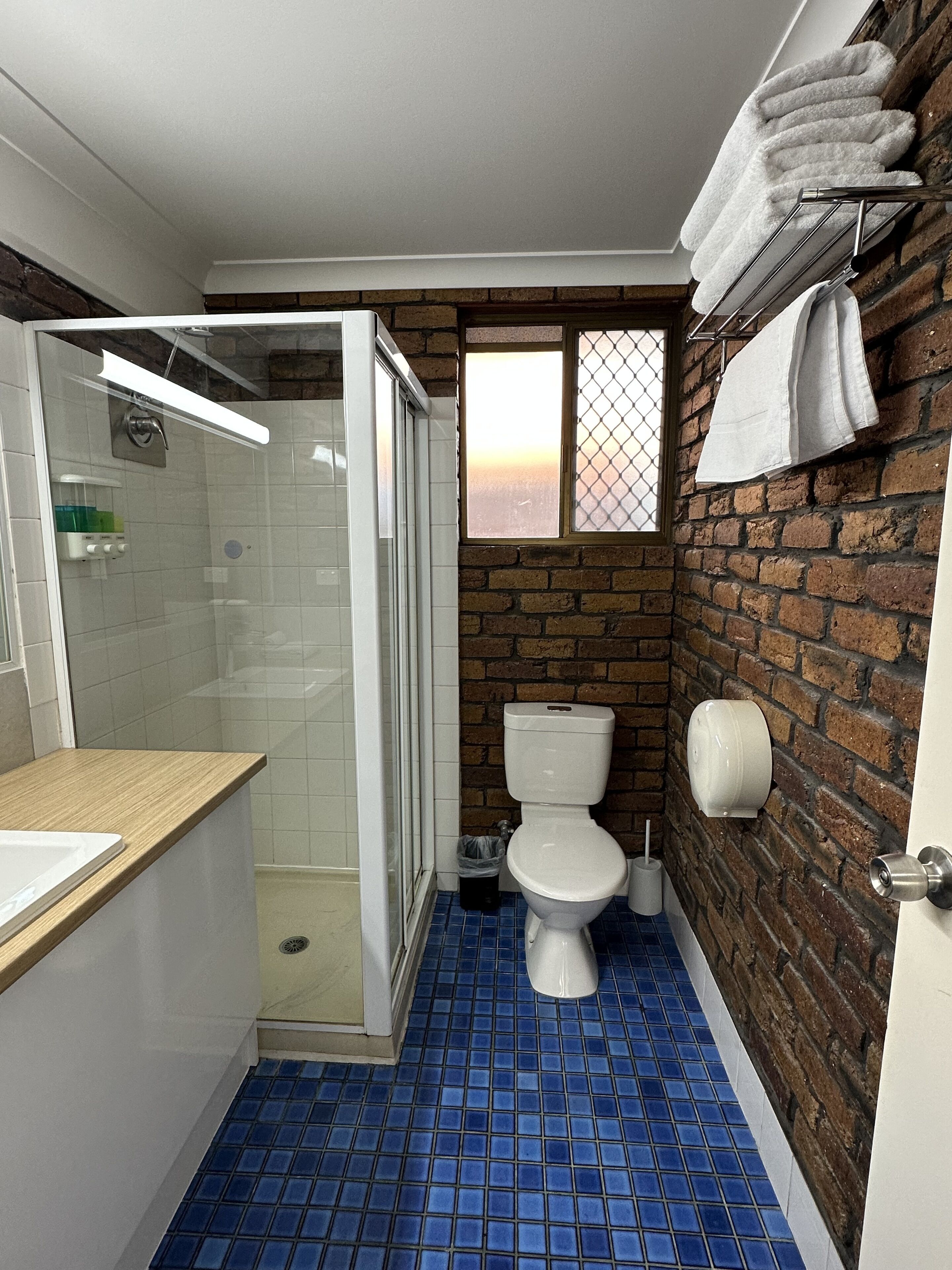 A bathroom with a shower, toilet, and a window with a view.