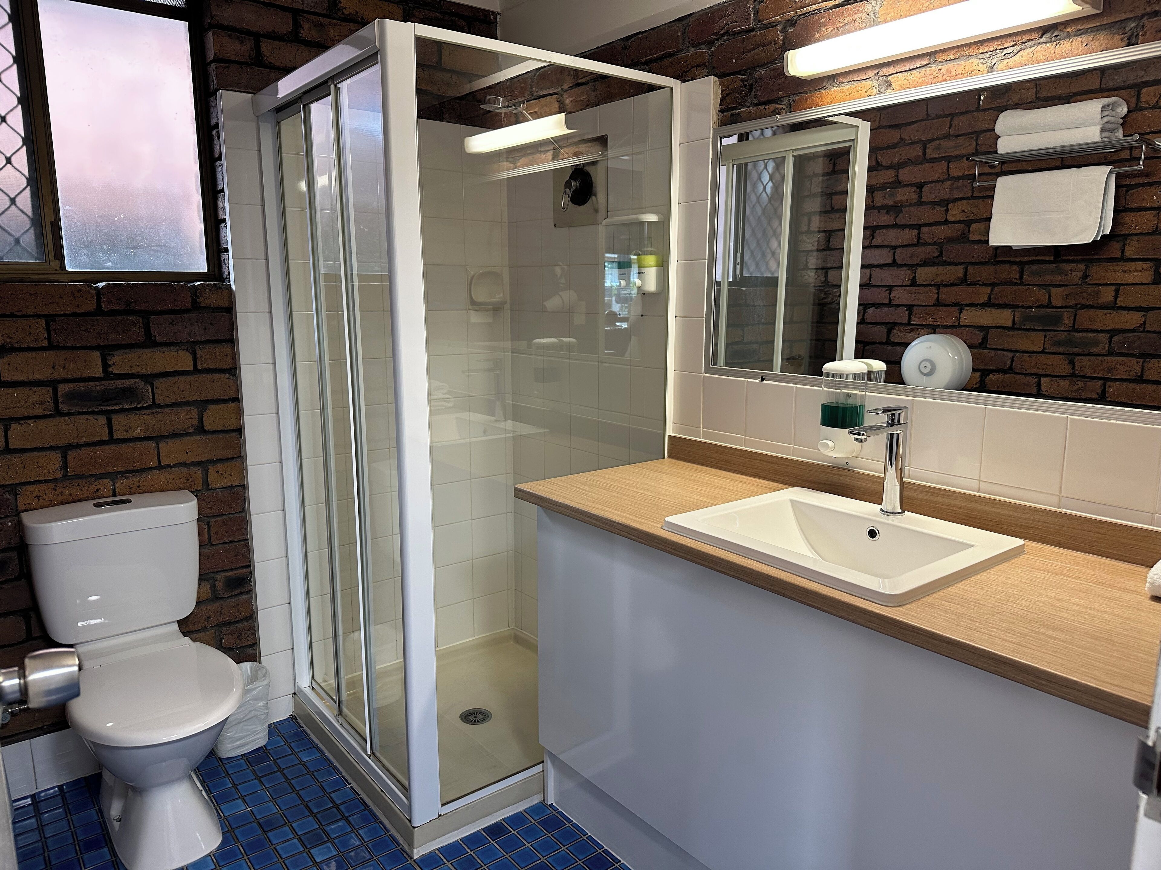 A bathroom with a glass-enclosed shower, a toilet, a sink with a mirror, and a towel rack.