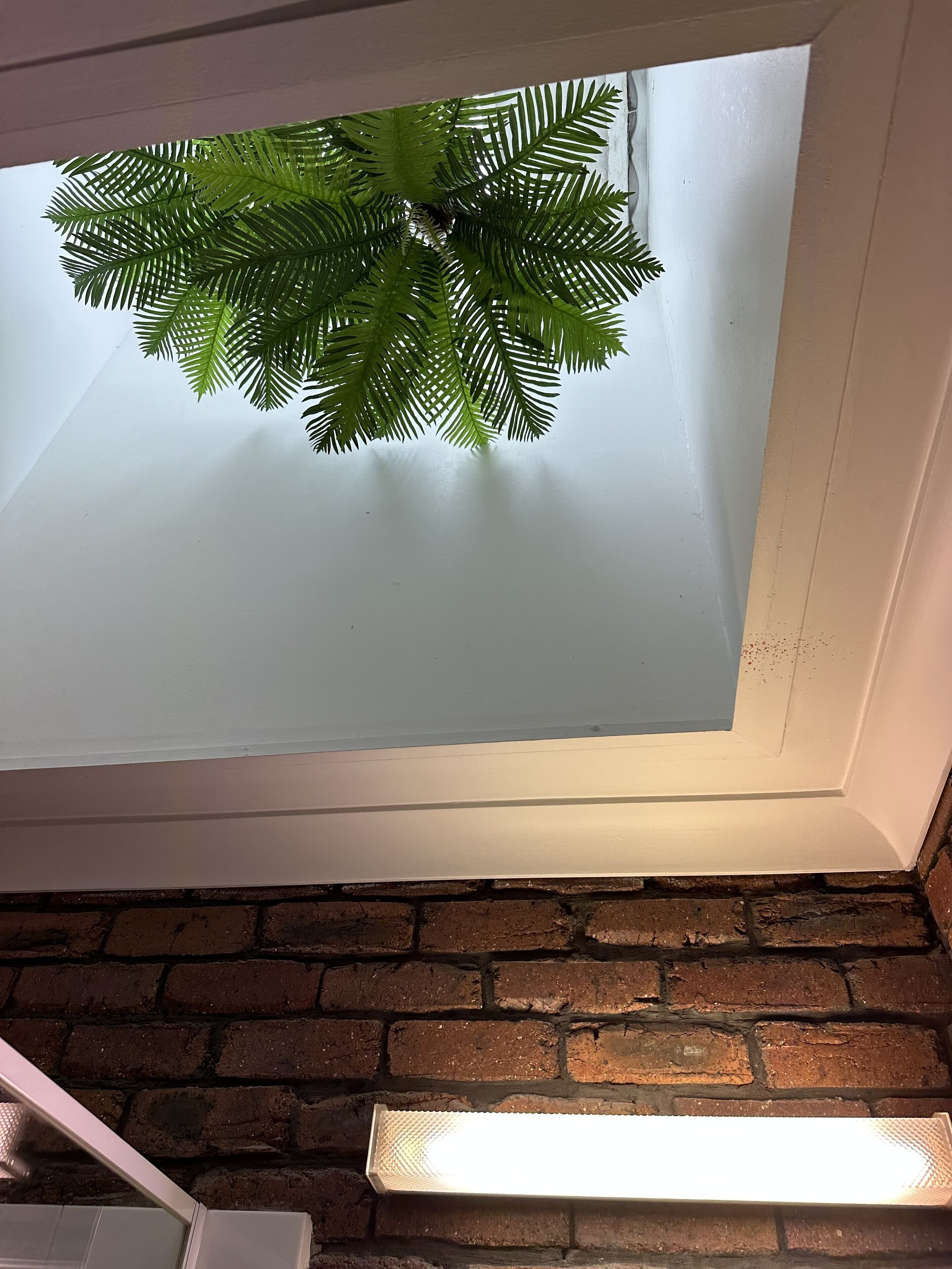 A skylight with green foliage, a white door, and a brick wall.