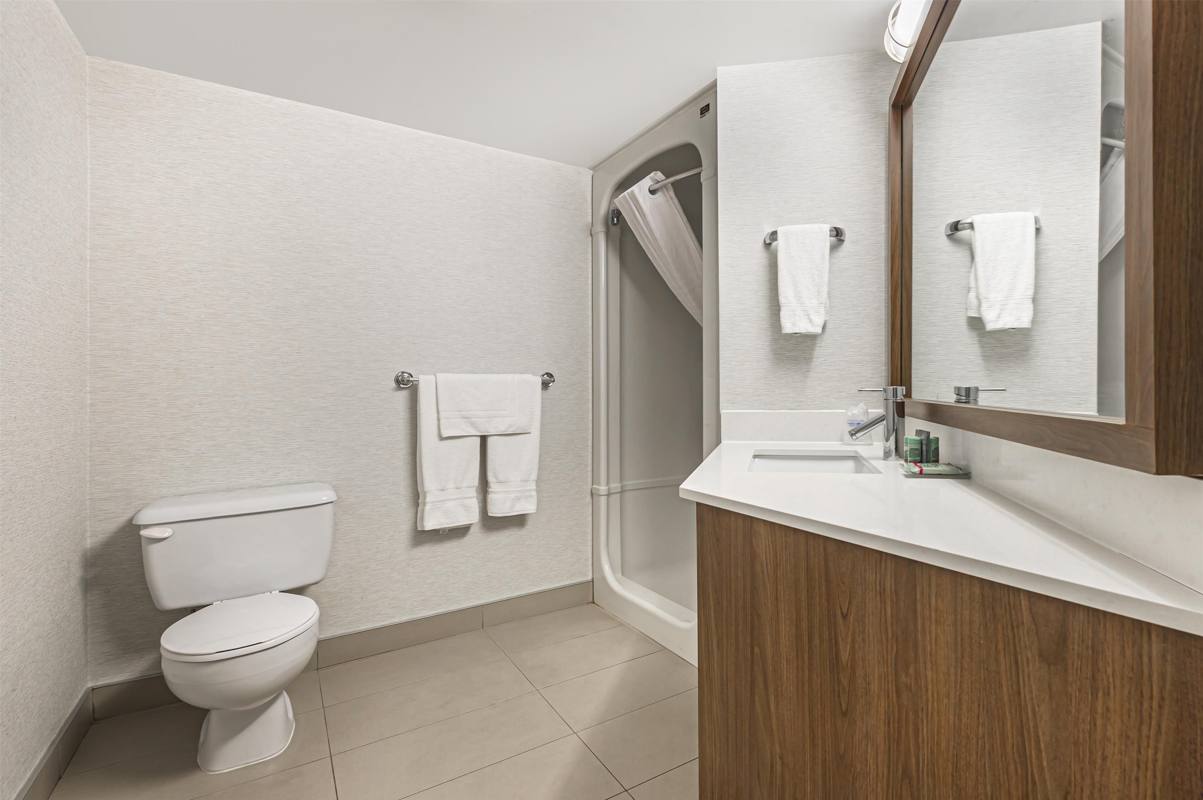 Ein modernes Badezimmer mit Toilette, Dusche und Waschbecken mit Spiegel.