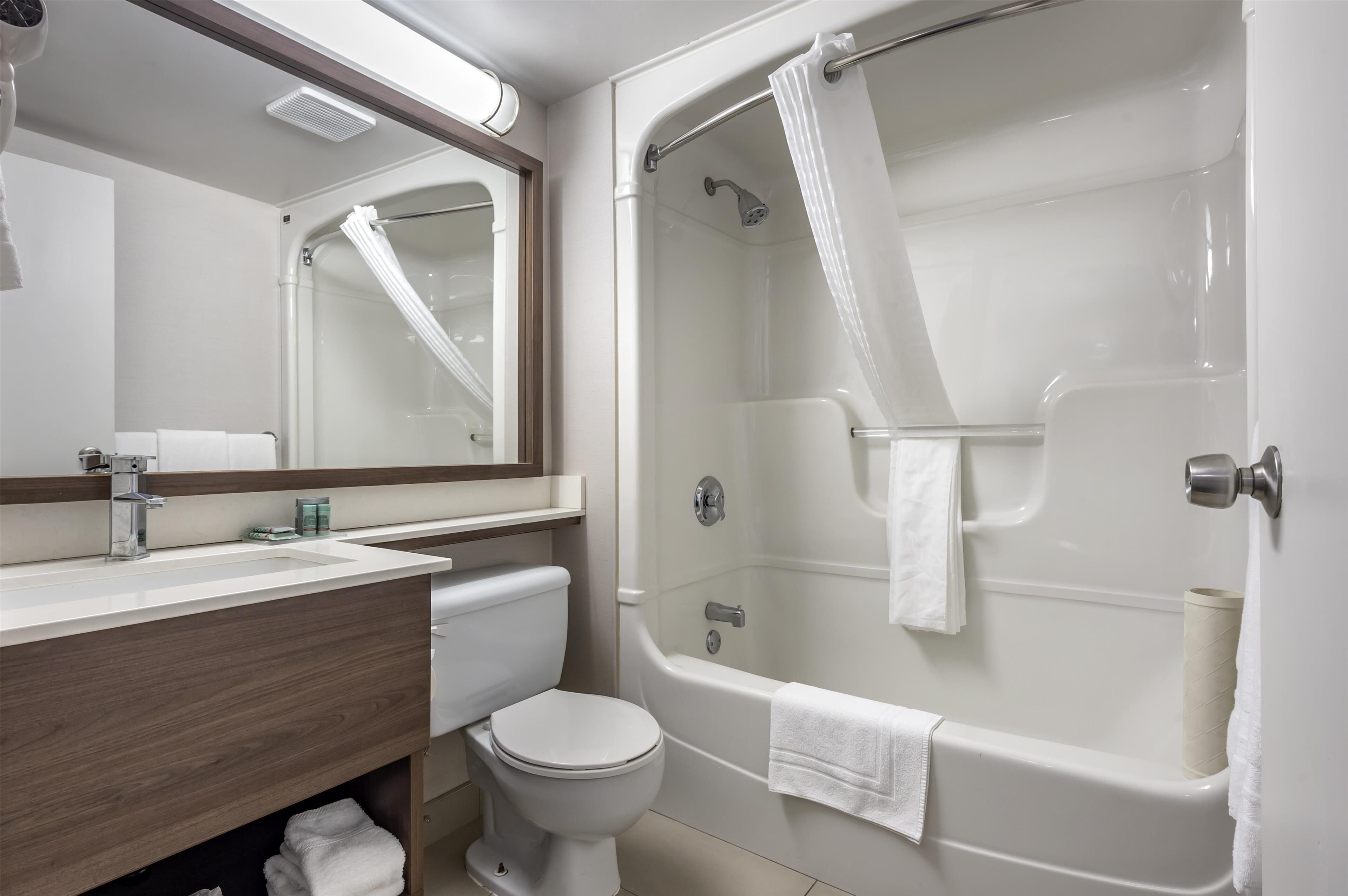 combined shower/bathtub, free toiletries, hair dryer, towels