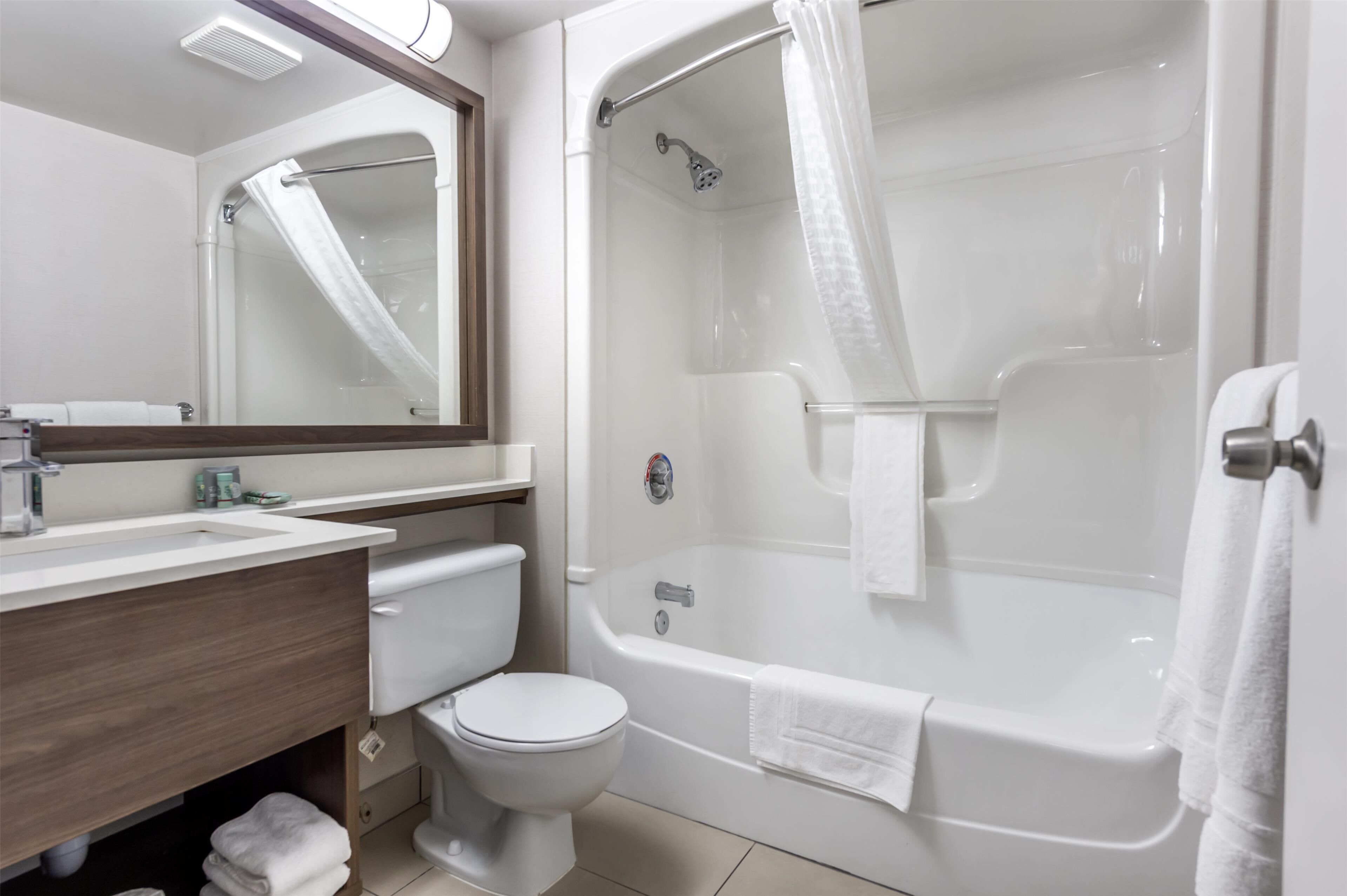 standard room, 1 queen bed, non smoking, refrigerator & microwave (with sofabed) | bathroom | combined shower/bathtub, free toiletries, hair dryer, towels