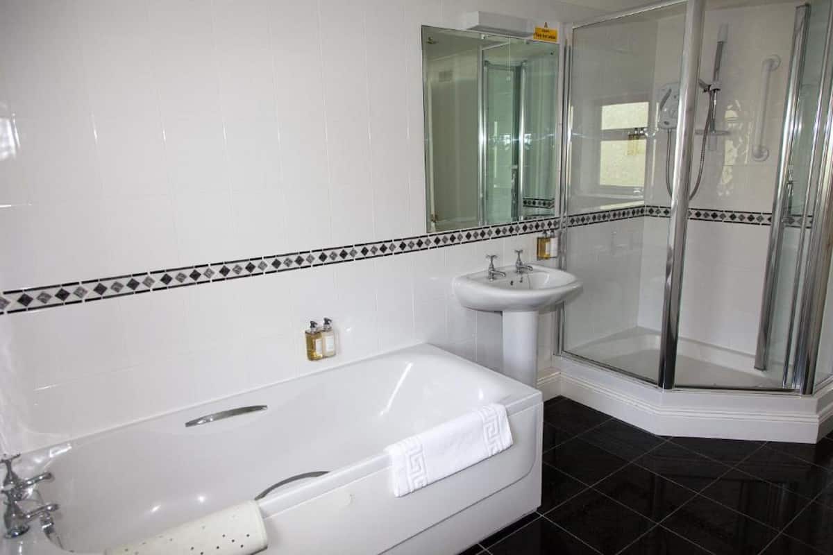 combined shower/bathtub, free toiletries, hair dryer, towels