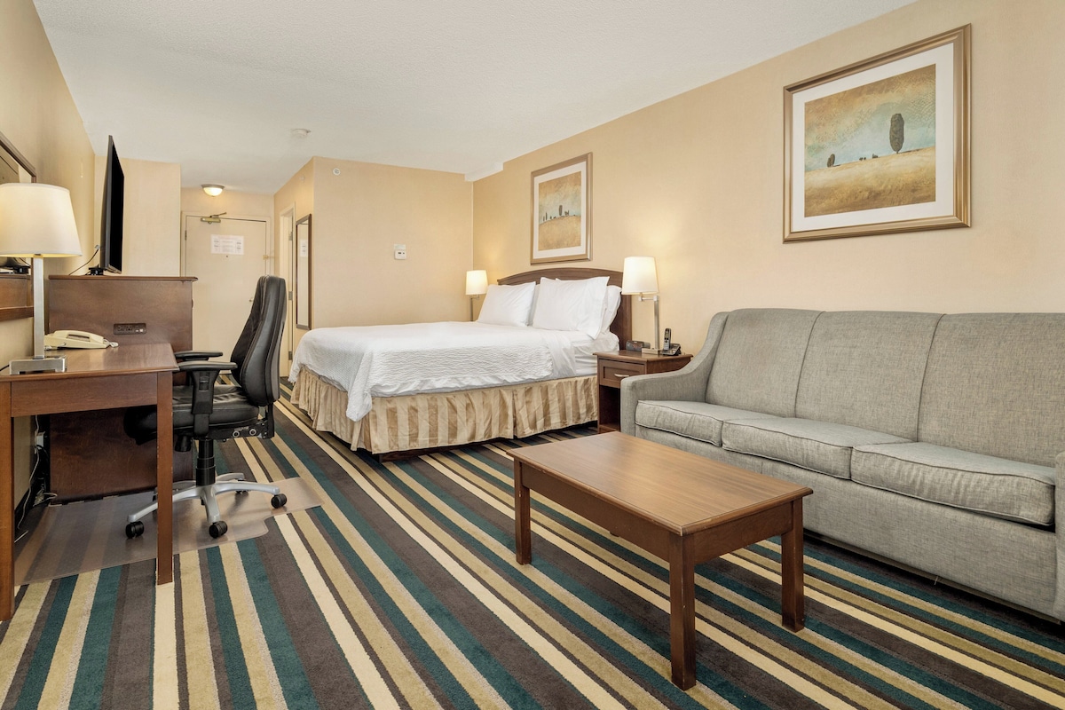 Une chambre d’hôtel comprenant un lit, un canapé, un bureau avec une chaise, une table basse et un téléviseur.