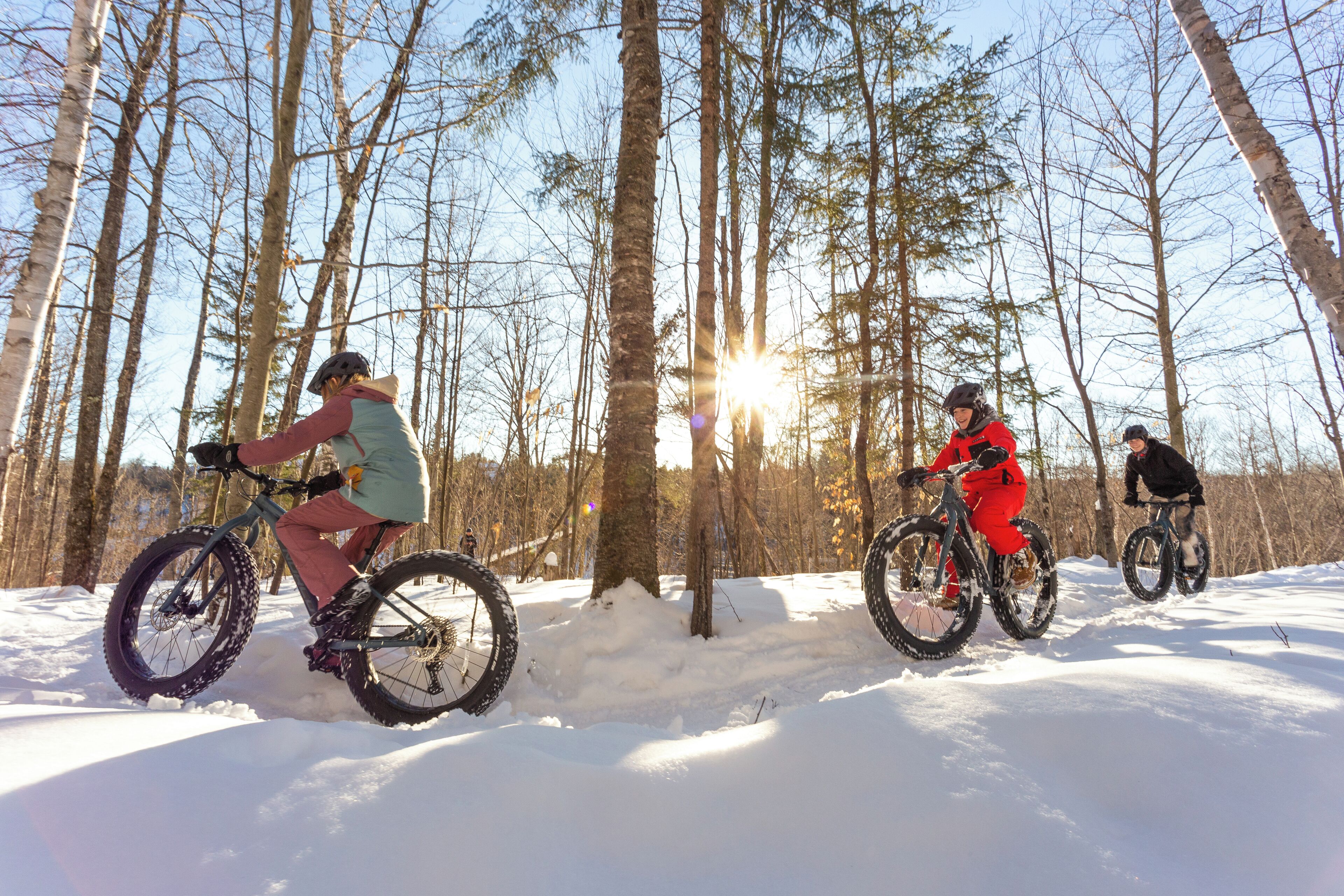 Tres personas andando en bicicleta por un bosque nevado.