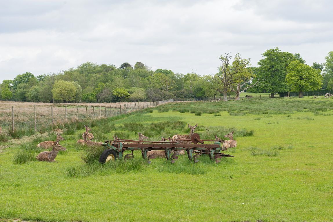 A field with a tractor and several deer.