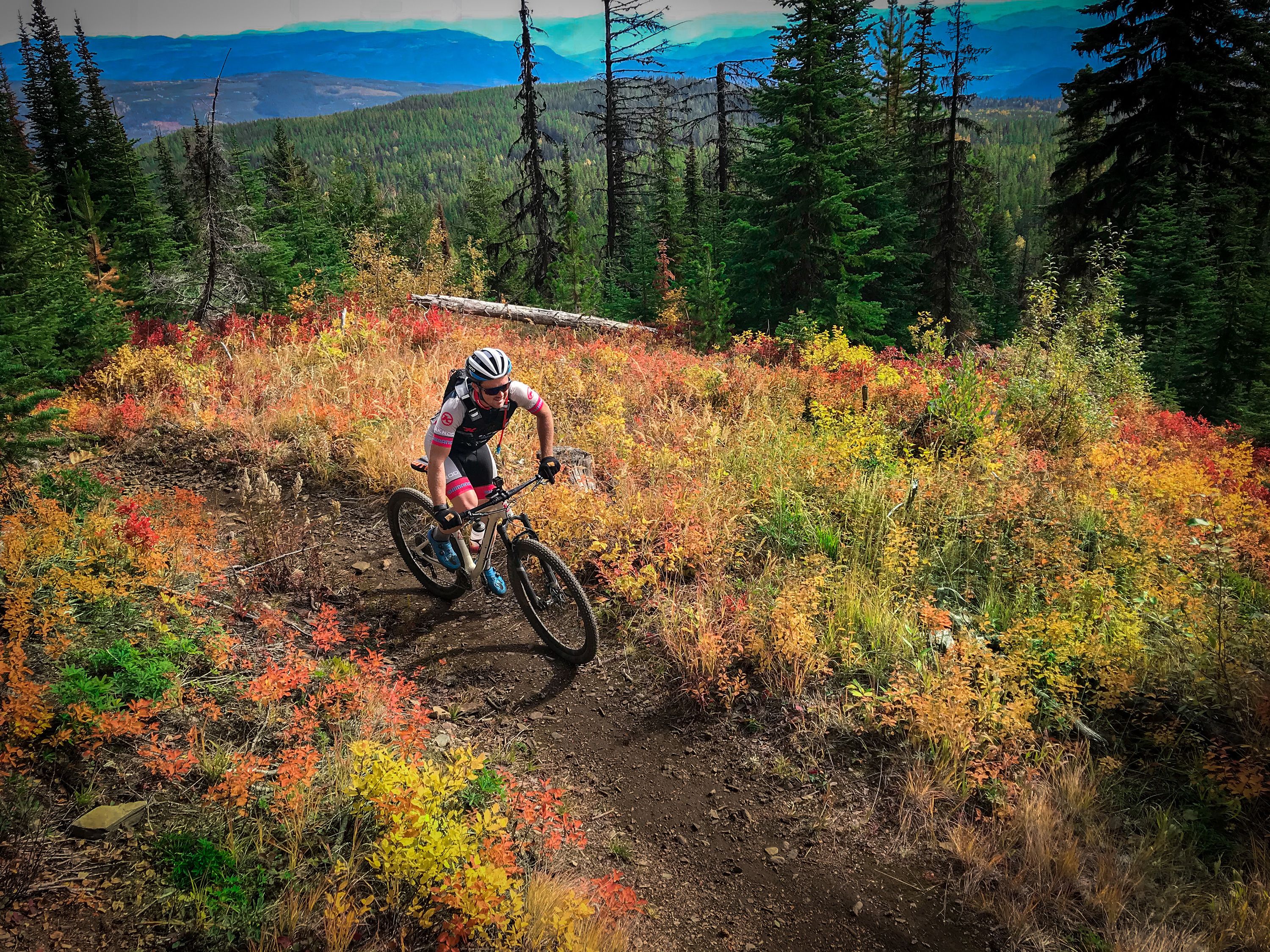 A mountain biker on a trail surrounded by autumn foliage.
