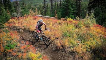 Un ciclista de montaña en un sendero rodeado de follaje otoñal.