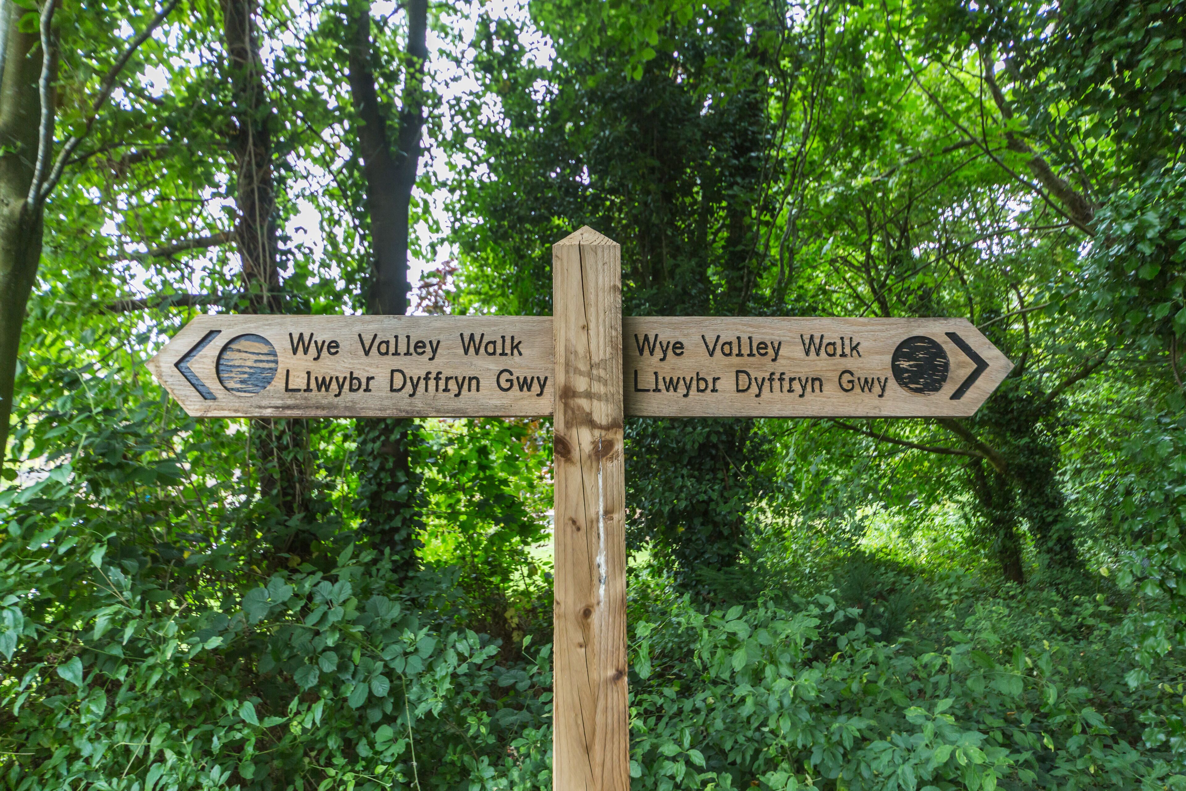 Un panneau indicateur en bois, placé dans une zone boisée, avec deux flèches pointant dans des directions opposées, chacune indiquant une destination.