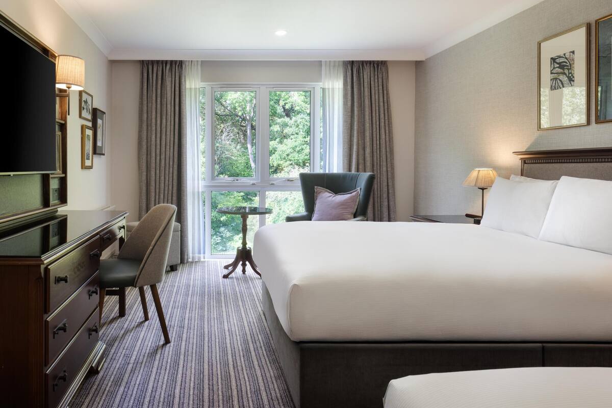 Family Room, 1 Katil Ratu (Queen) | Peralatan tempat tidur hipoalergenik, peti besi dalam bilik 
