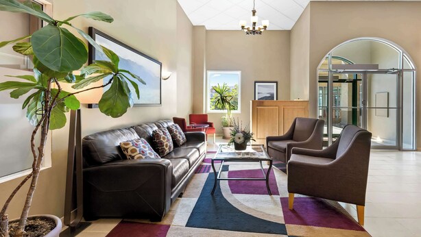 A modern living room with a sofa, armchairs, a coffee table, and a large potted plant. - Best Western Of Olds (Olds)