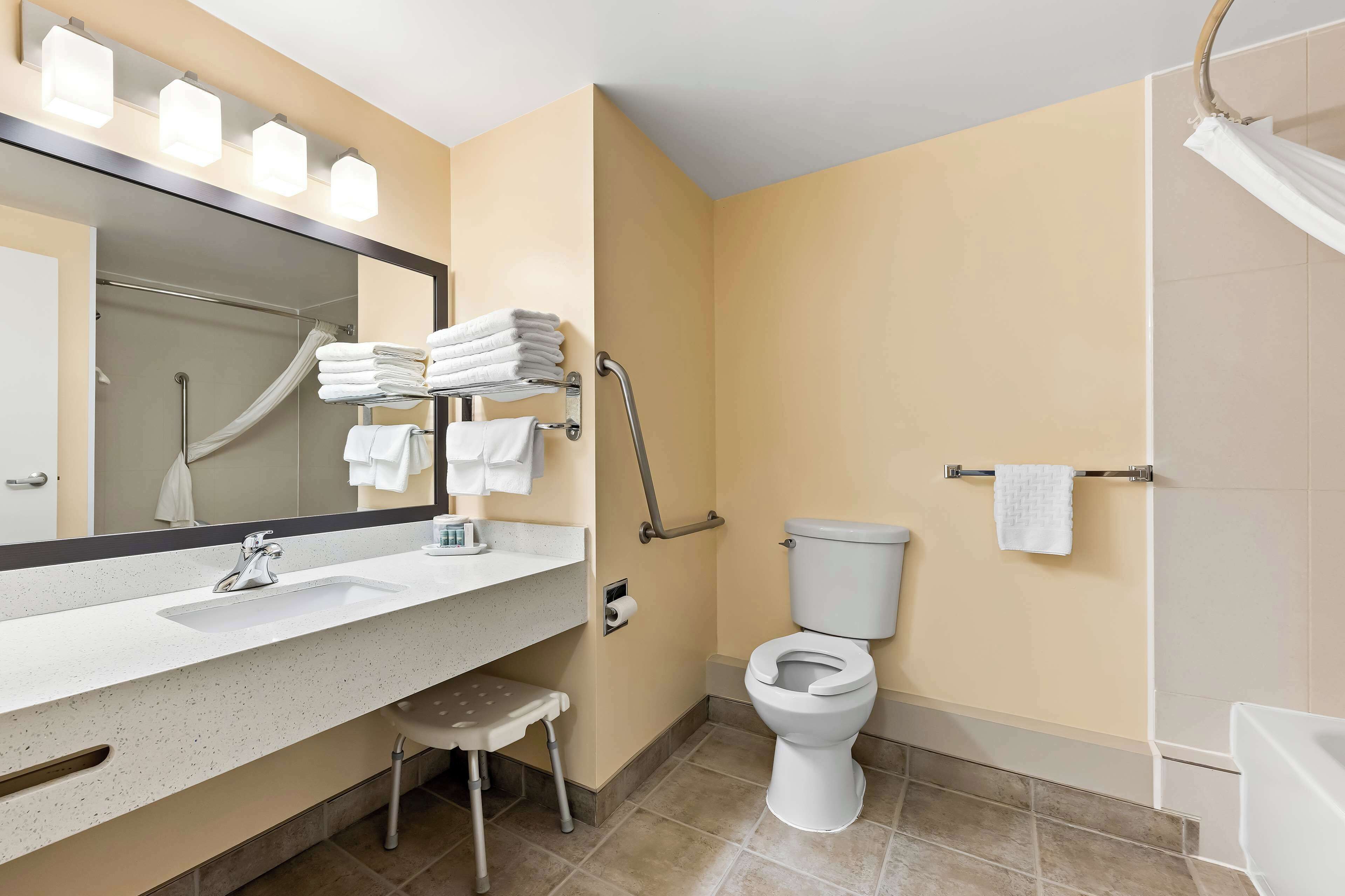 standard room, 1 king bed, accessible, non smoking | bathroom | free toiletries, hair dryer, towels, soap