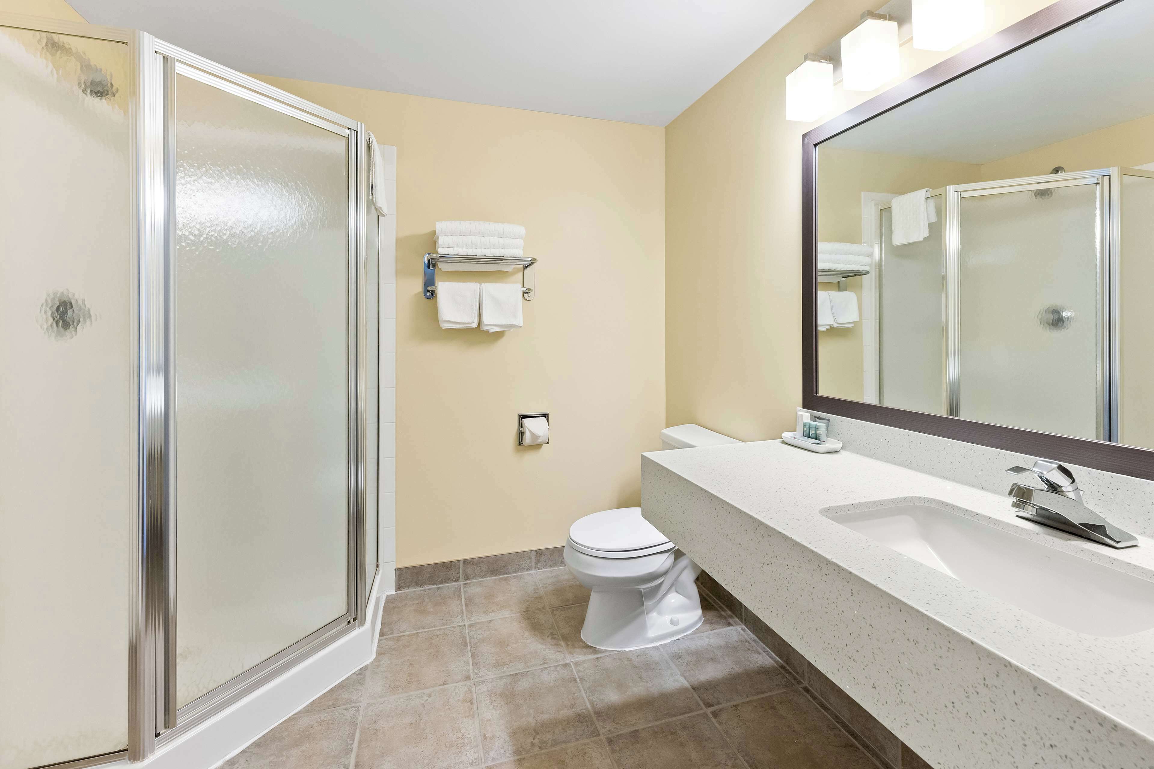 suite, 1 king bed, non smoking, jetted tub | bathroom | free toiletries, hair dryer, towels, soap