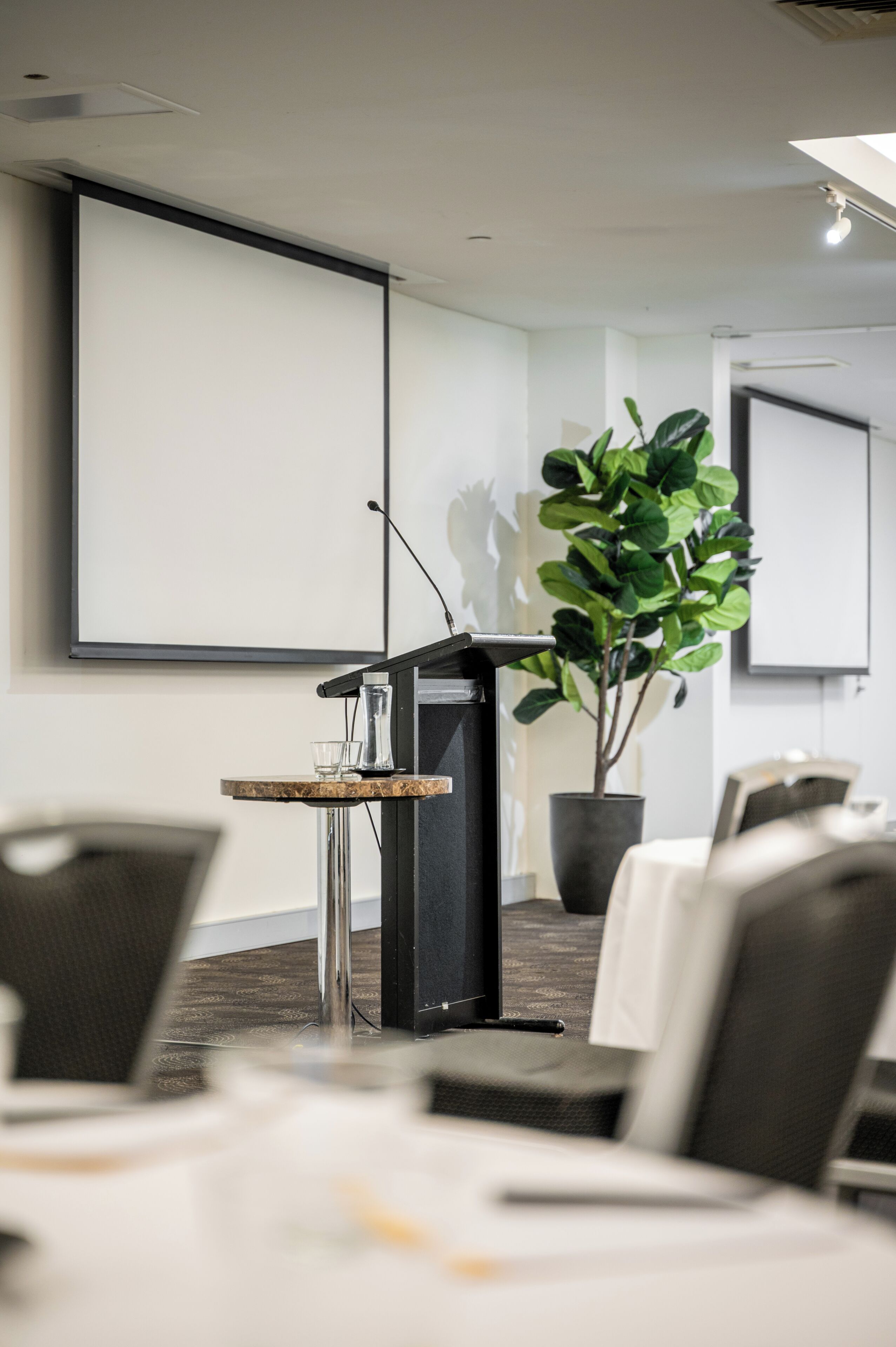 Un salón de conferencias con un atril, una pantalla de proyector, una planta en maceta y una mesa con sillas.