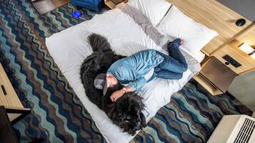 A person lying on a bed with a large black dog, a blue chair, and a nightstand with a lamp and a small table.