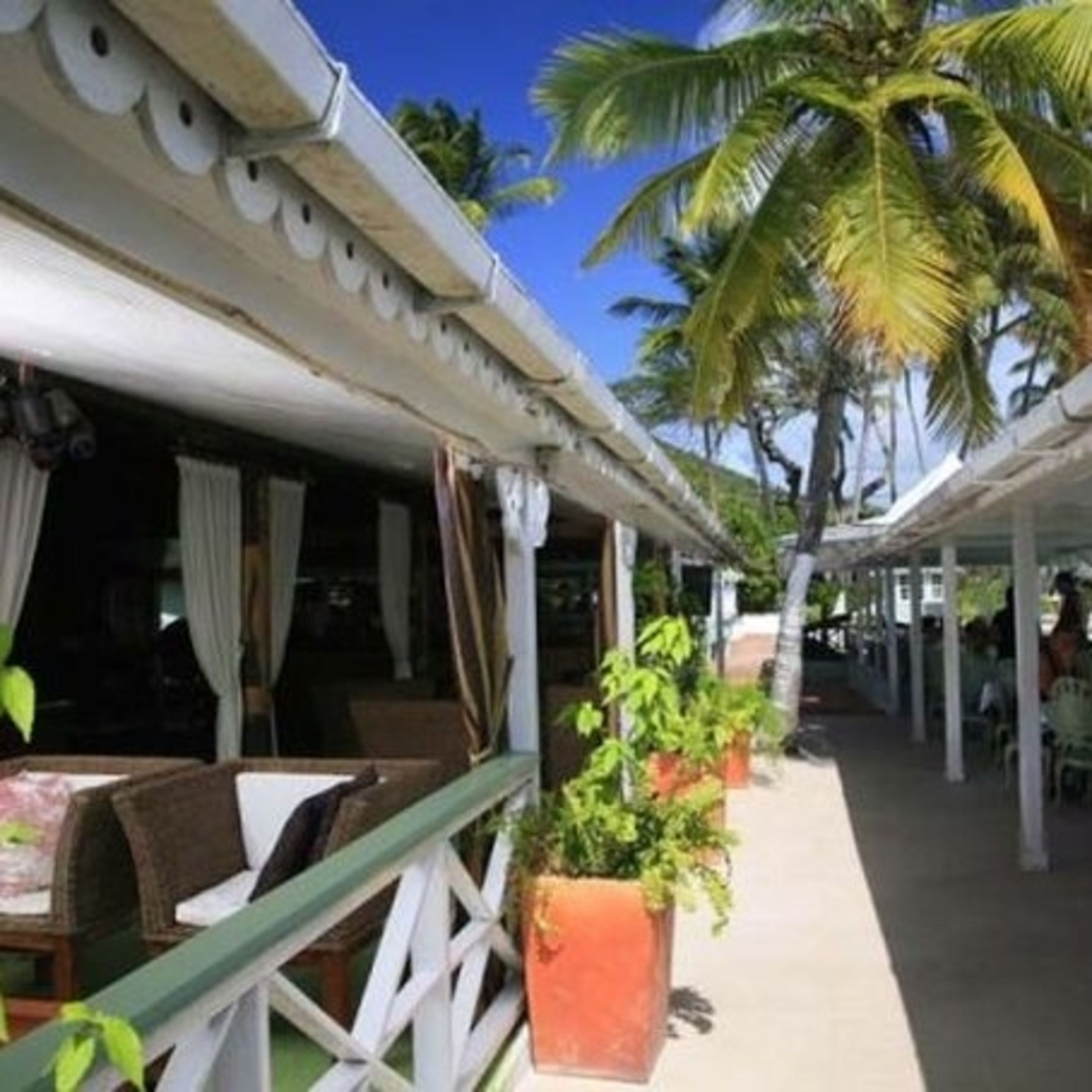 A covered outdoor seating area with tables and chairs, surrounded by palm trees and a clear blue sky.