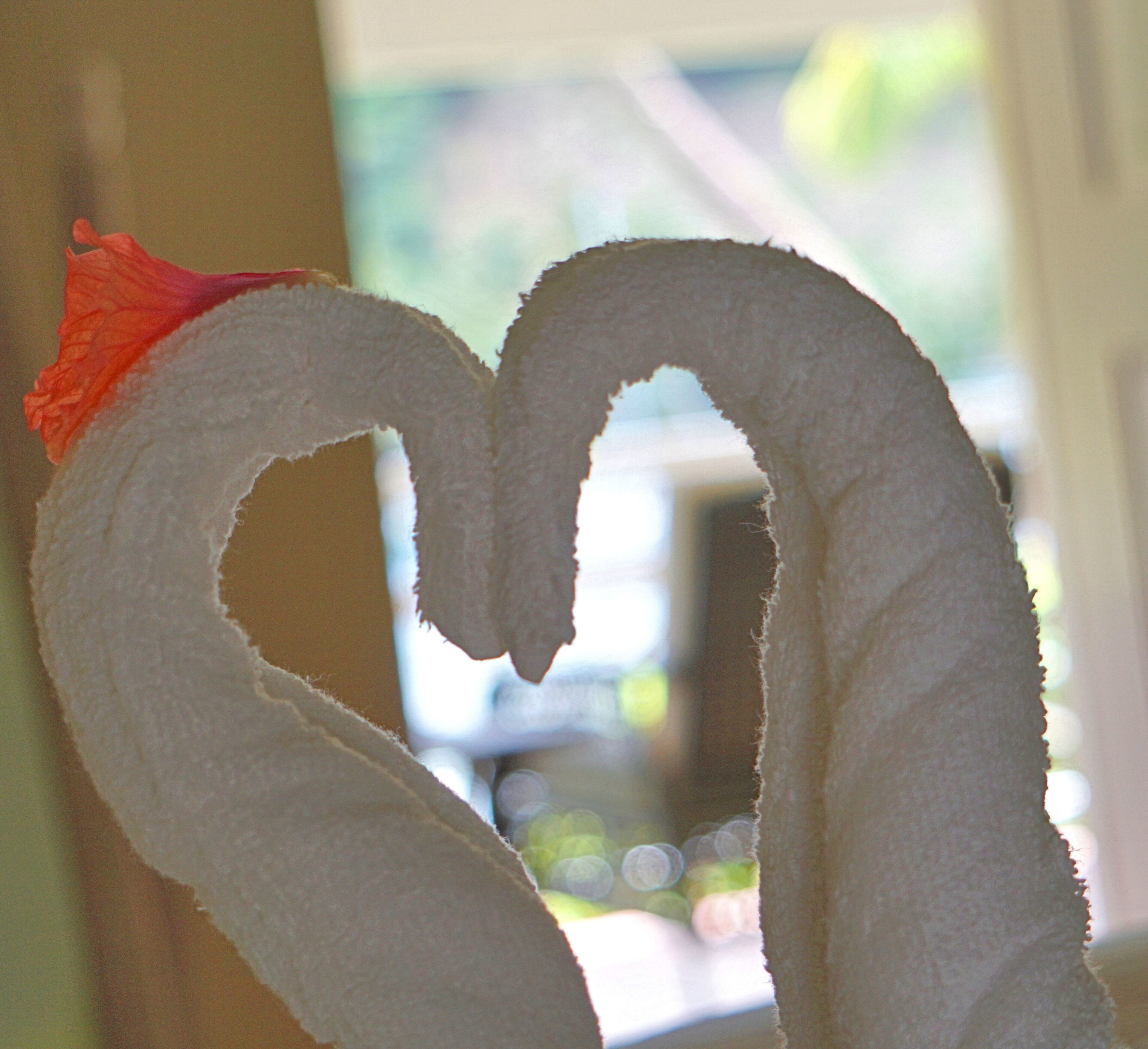 Photo - Marigot Beach Club & Dive Resort