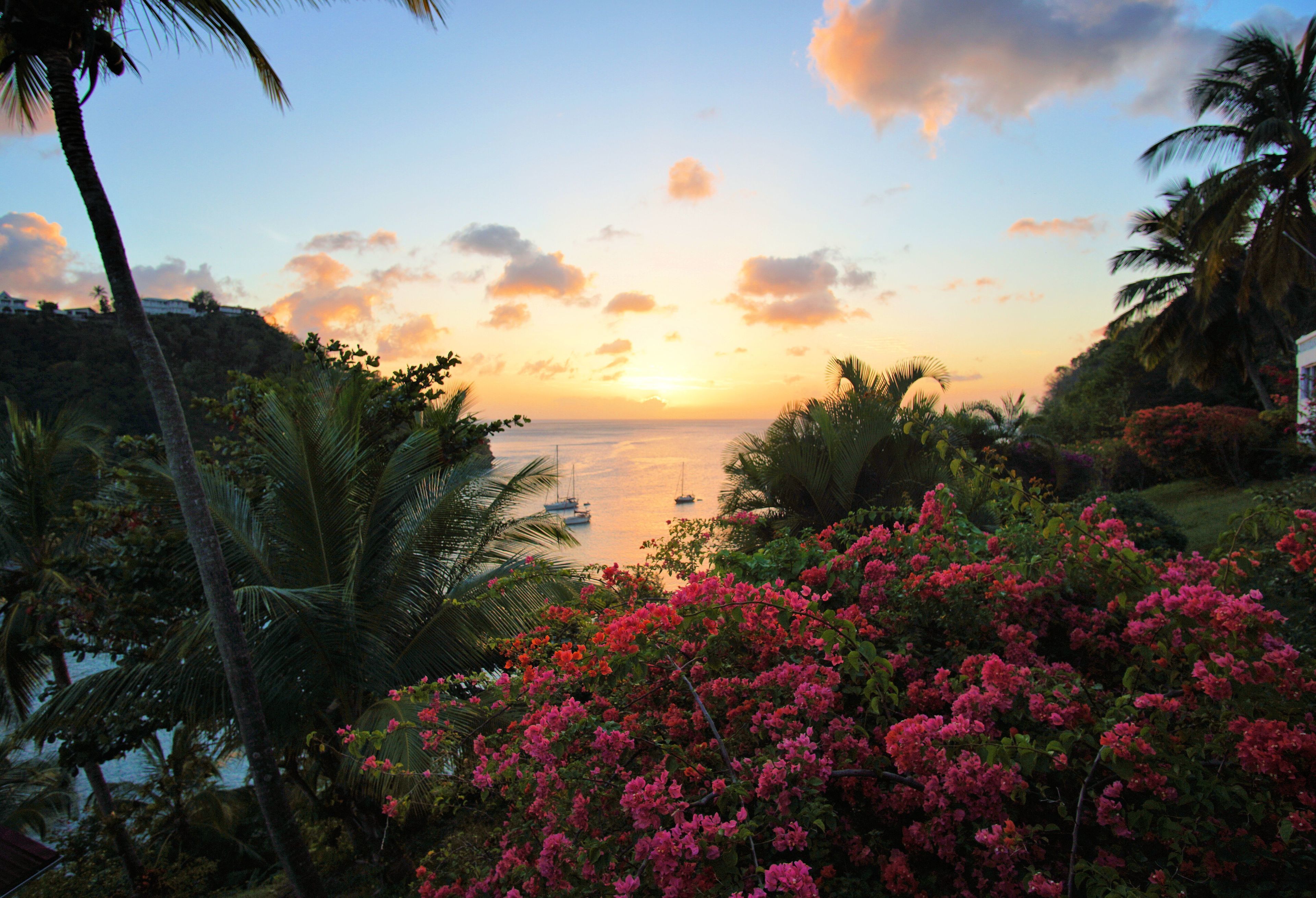 Photo - Marigot Beach Club and Dive Resort