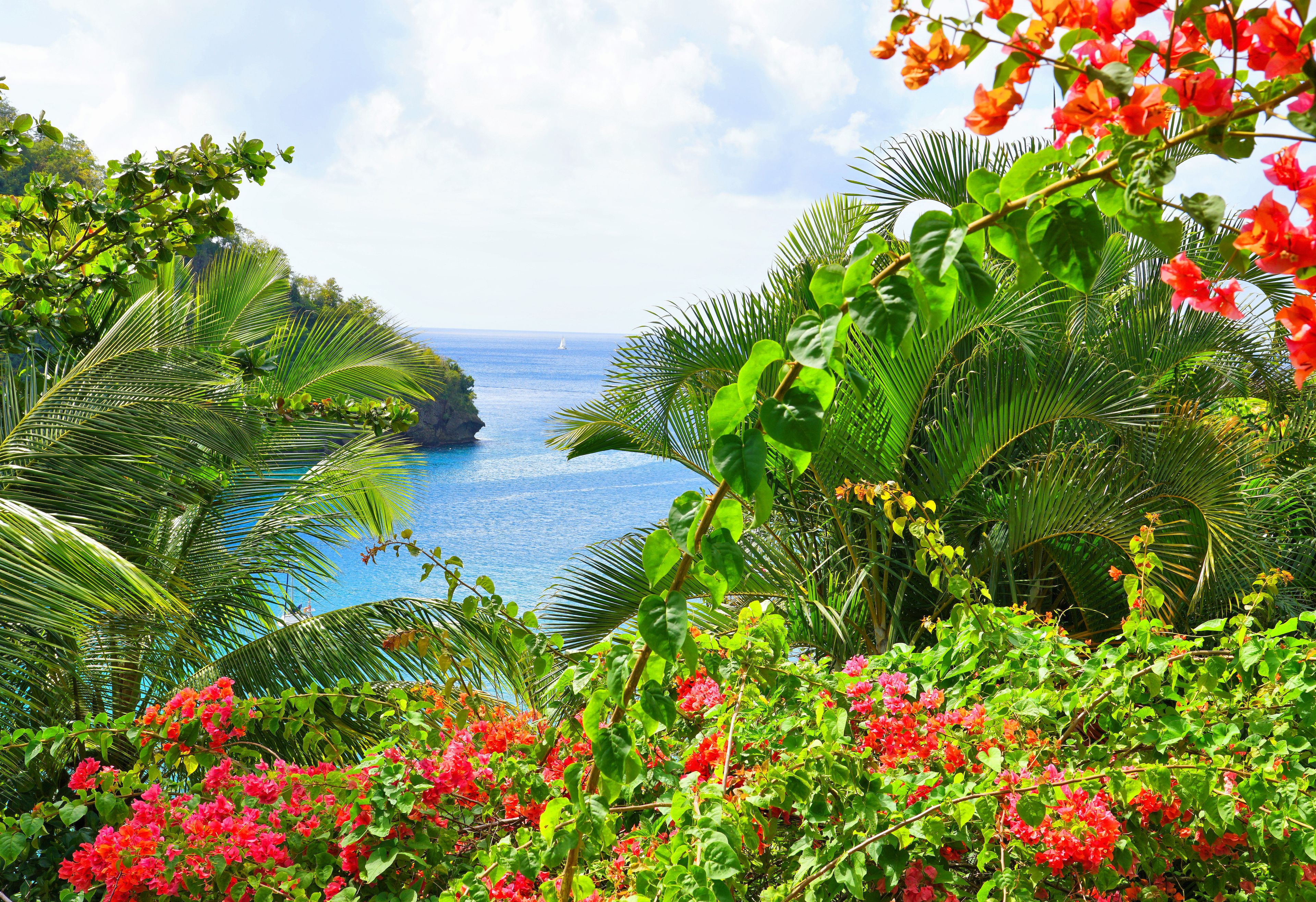 Photo - Marigot Beach Club & Dive Resort