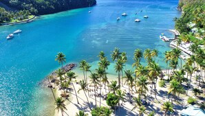 A tropical beach with clear turquoise waters, palm trees, and several boats anchored nearby.