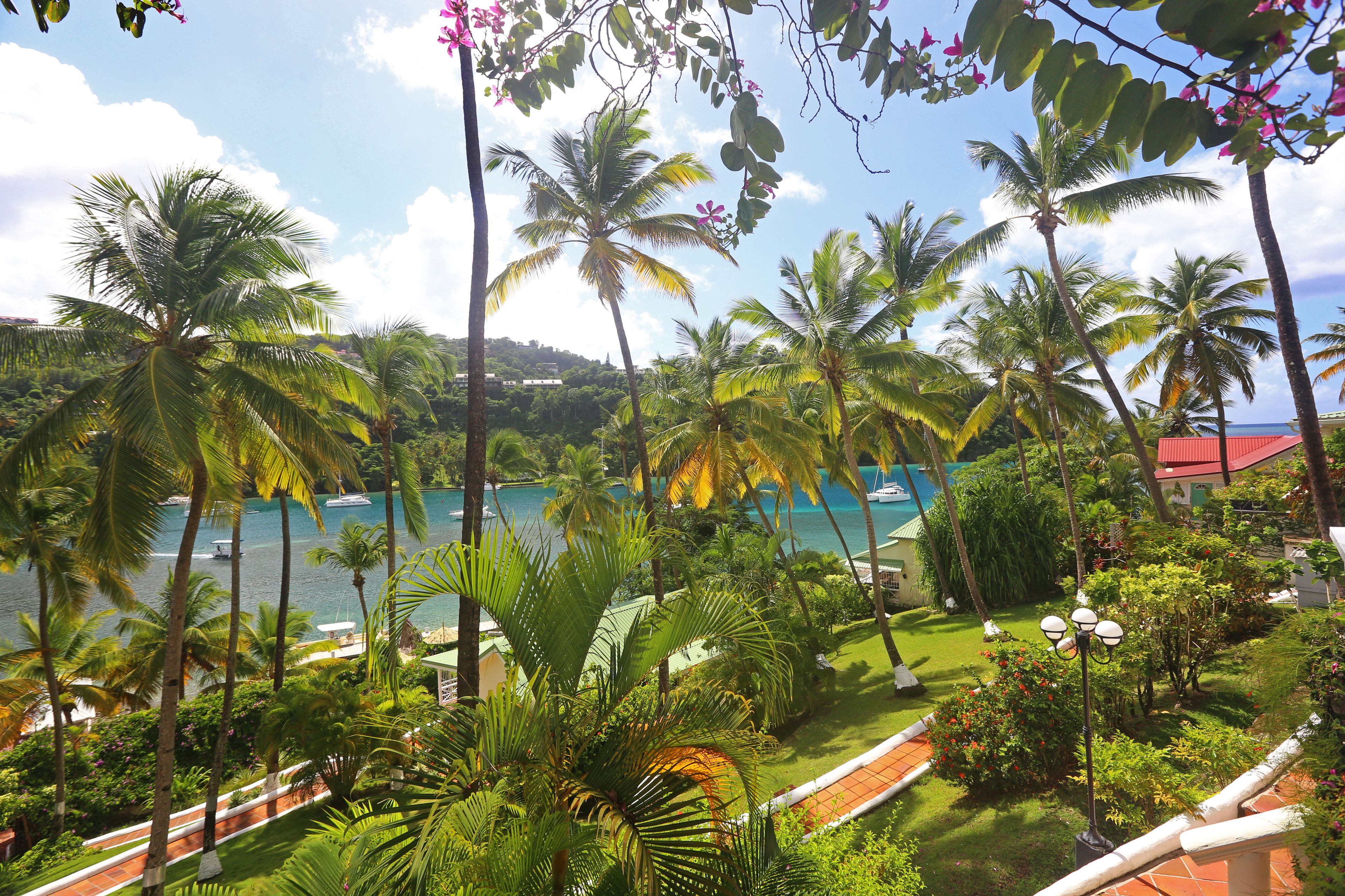 A tropical resort with palm trees, a pool, and a view of the ocean.