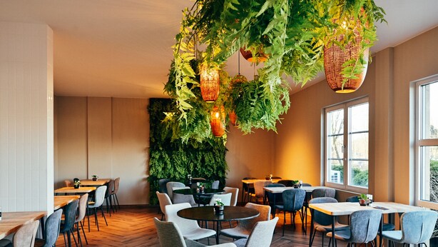 A modern restaurant with wooden tables and chairs, hanging plants, and large windows. - Hotel Ter Elst (Edegem)