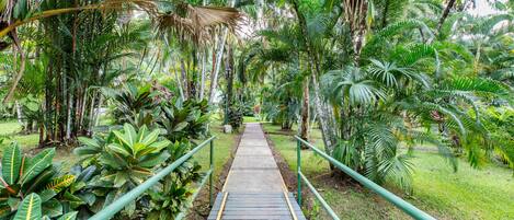 A pathway leading through a lush garden with various tropical plants and trees.