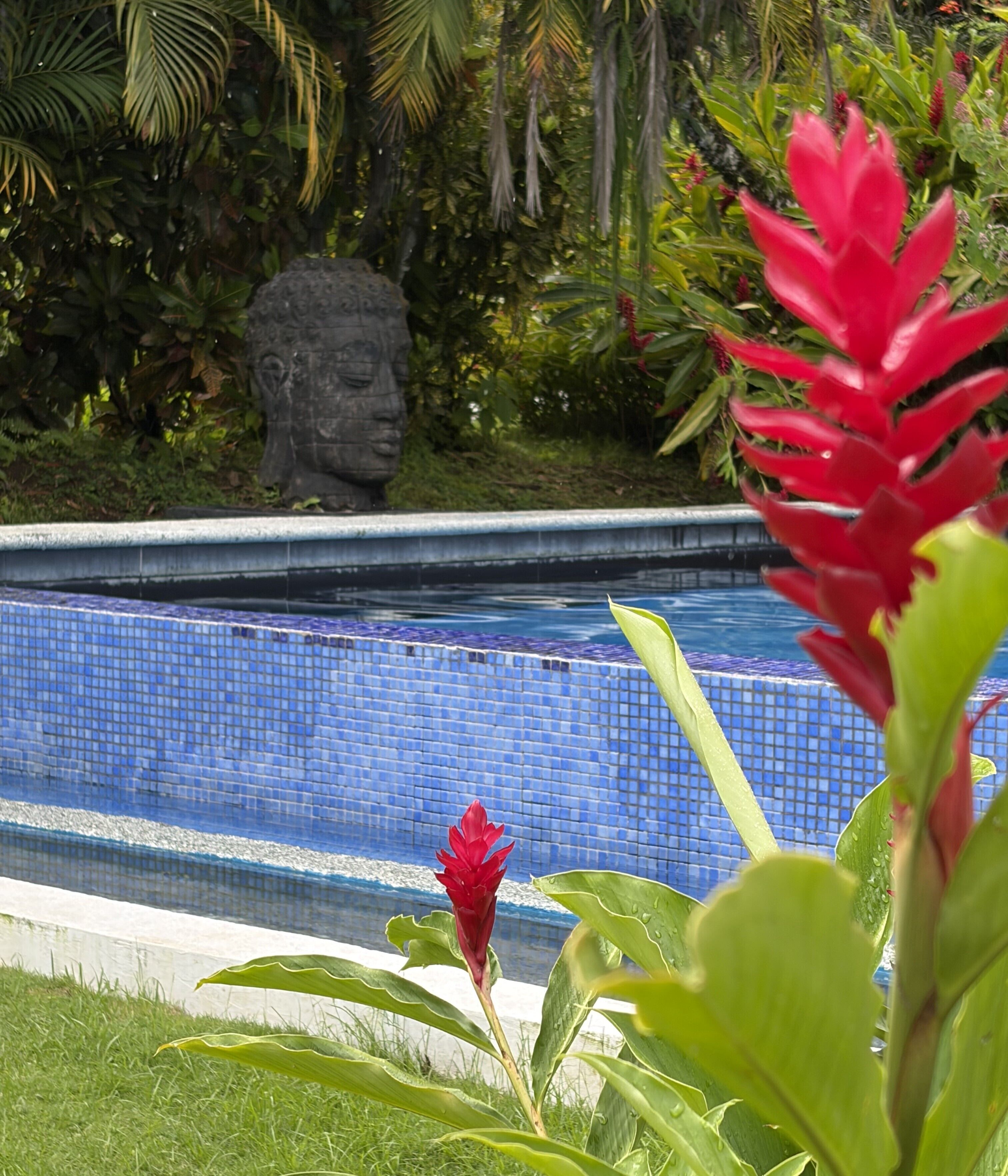 Une piscine dont le bord est revêtu de carrelage, entourée d’une végétation luxuriante et ornée d’une statue.