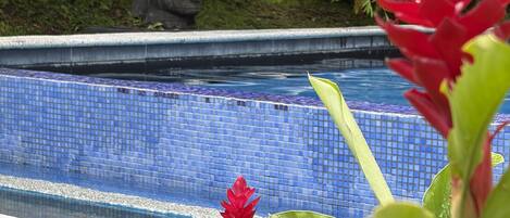 A swimming pool with a tiled edge, surrounded by lush greenery and a statue.
