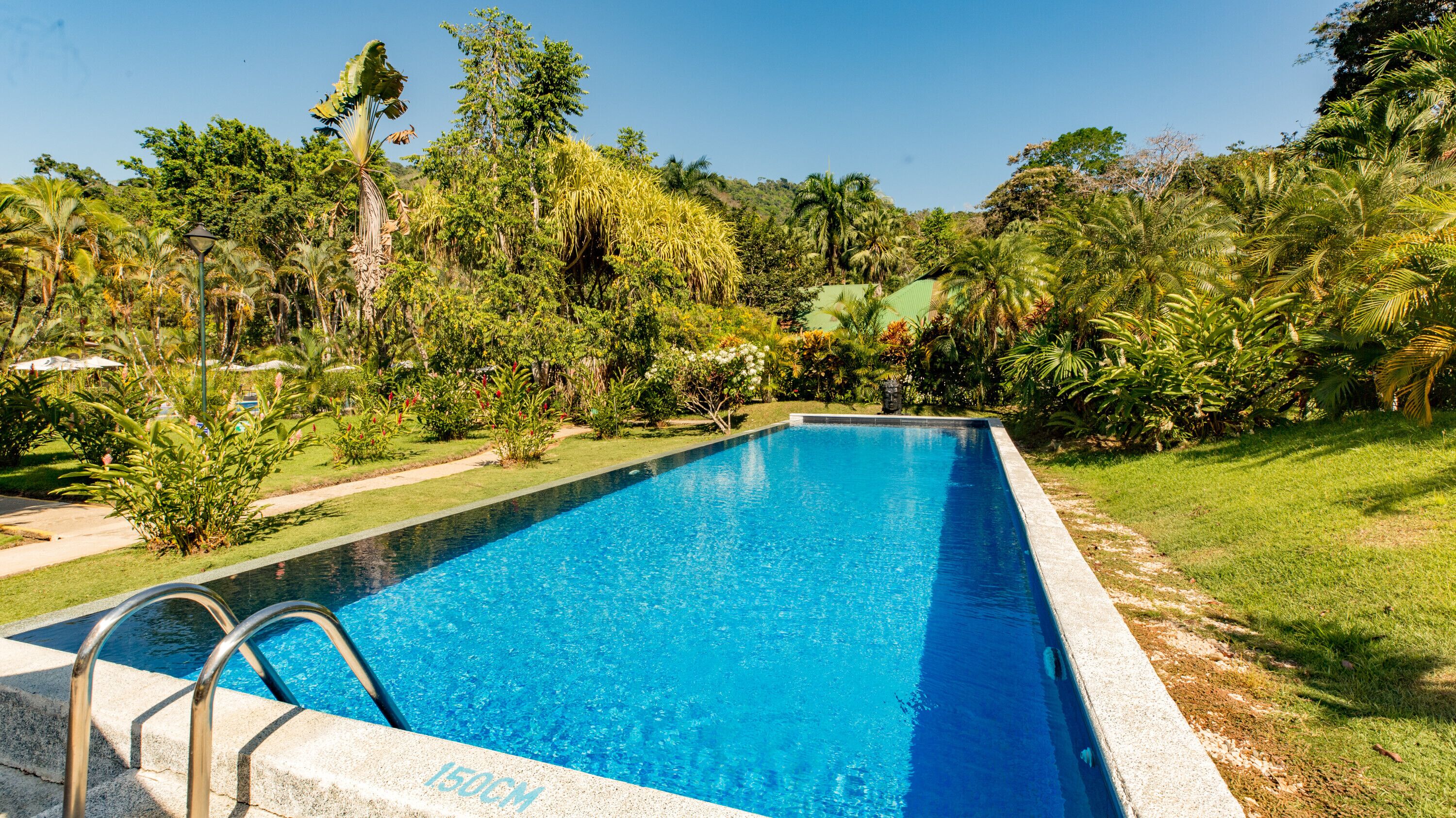 A rectangular swimming pool with a 150cm depth marker, surrounded by lush greenery and trees.
