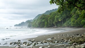 Plage à proximité, massages sur la plage