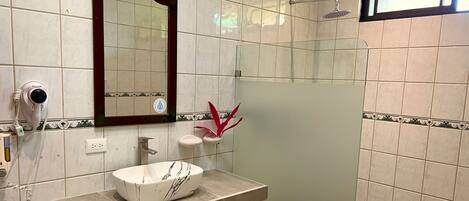 A bathroom with a white sink, a mirror, a handheld showerhead, and a potted plant.