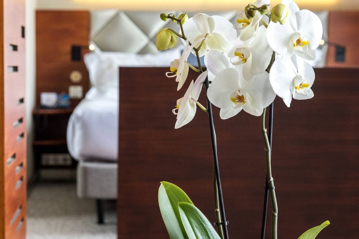 A hotel room with a bed, a desk, and a large framed picture on the wall.