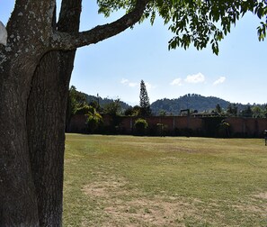 庭園