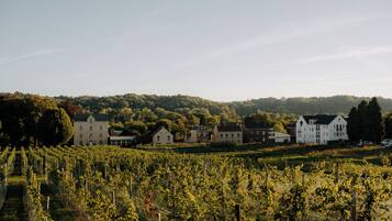 Vignoble