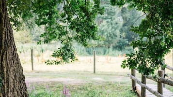 Área de parrillas y picnic