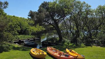 Une zone herbeuse avec trois kayaks jaunes et un quai au bord d’une étendue d’eau calme.