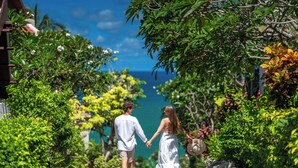 A couple walking down a tree-lined path with a view of the ocean.